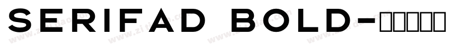 SerifaD Bold字体转换